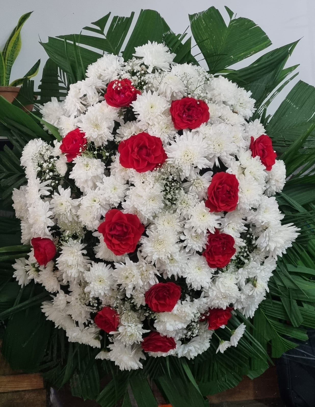 WhatsApp Image 2025-06-03 at 05.57.42 (1).jpeg