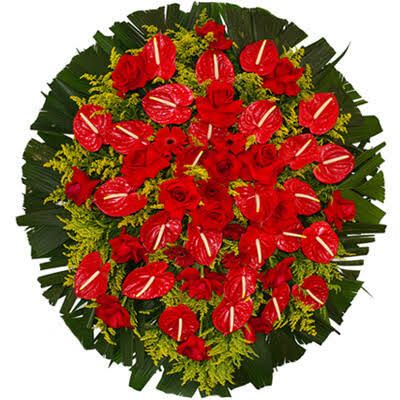 WhatsApp Image 2025-05-27 at 23.16.49.jpeg