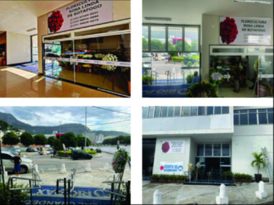 ENTRADA LJ 4.jpg