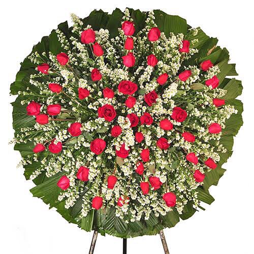 WhatsApp Image 2025-05-27 at 23.16.46.jpeg