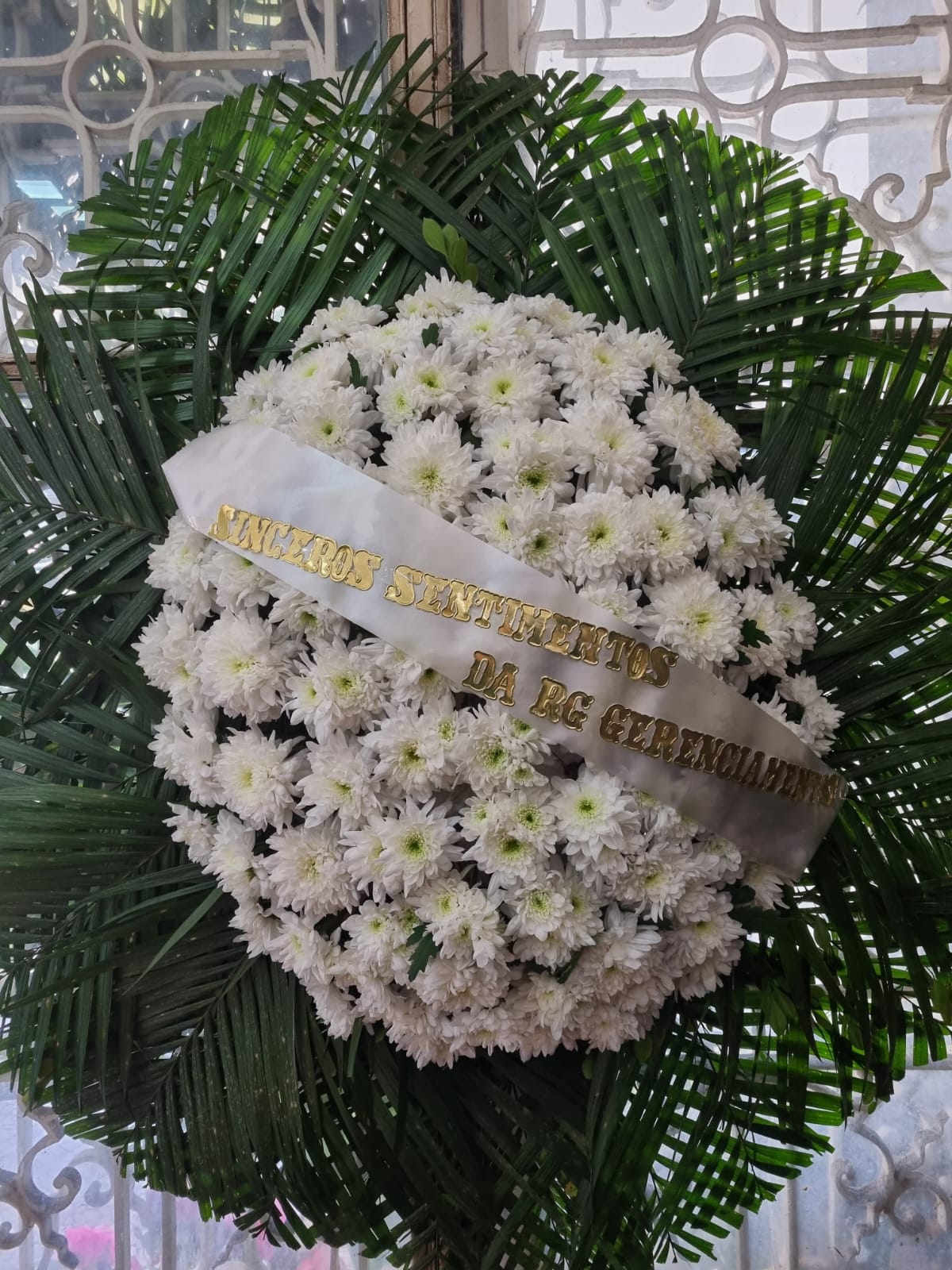 WhatsApp Image 2025-06-03 at 05.57.42.jpeg