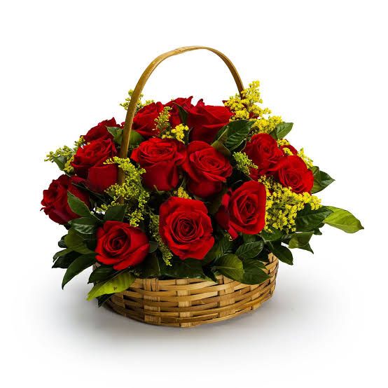 WhatsApp Image 2025-05-27 at 23.16.48 (1).jpeg